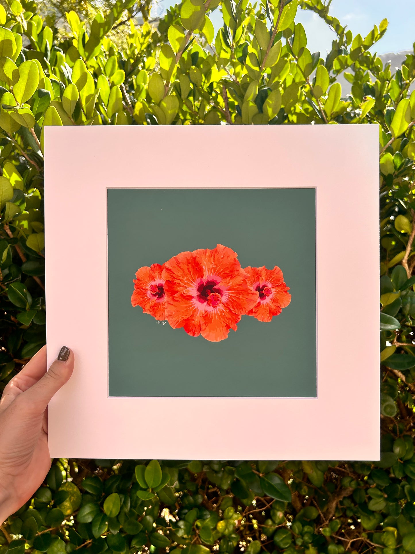 Watercolor Hibiscus Art Print